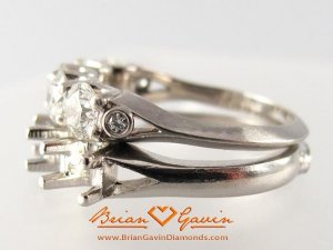 BrianGavin-Shank-Compare1.jpg