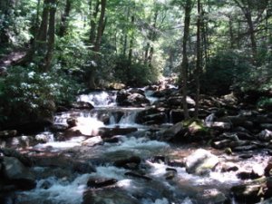 Smokiesjmt2.JPG