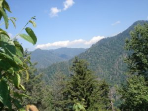 Smokiesjmt4.JPG