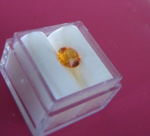 spessfavecolors.jpg