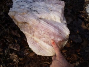 giant star rose boulder.jpg giant star rose boulder.jpg