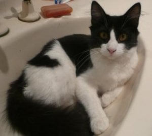 squeak 2.JPG
