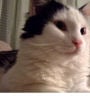 smore.jpg