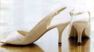 wedshoeshoney22b.jpg wedshoeshoney22b.jpg