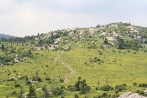 IMG_1958_edited-1.jpg