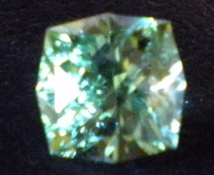 TLafghan_cut_blue.JPG