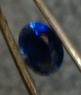 garyblue333.JPG