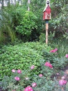 flowers 004redbirdhouse.jpg