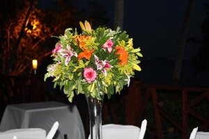 IMG_1436a.JPG