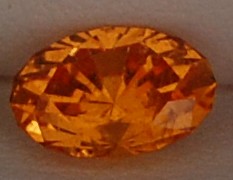 spess0305.JPG