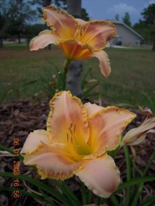 xDSCN0538.jpg