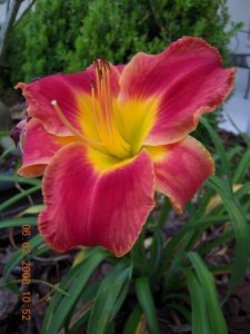xDSCN0544.jpg