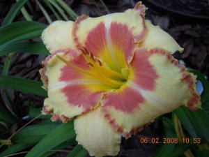 xDSCN0545.jpg