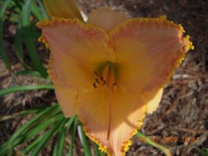 xDSCN0549.jpg