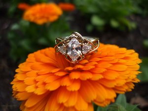 LongwoodRing 021.jpg
