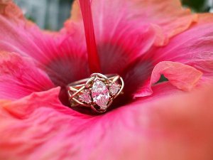 LongwoodRing 065.jpg