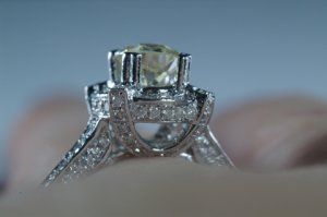 DSC_0578.jpg