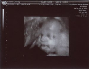 30w3d1.JPG