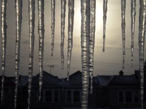 icicles3.jpg