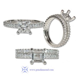 shared prong with princess.jpg shared prong with princess.jpg