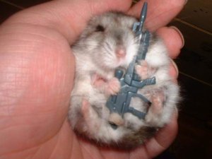 very small insurgent.jpg