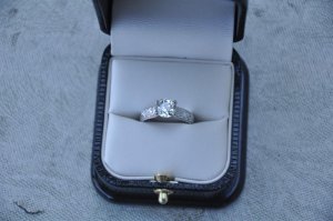 _DSC0289 (Medium).jpg