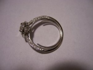 HH horseshoe sizer.jpg