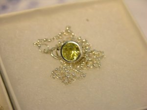 chrysoPSresized.JPG