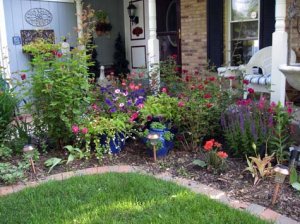 cms2009garden1.jpg
