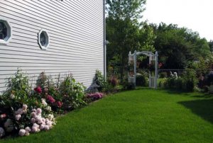 cms2009garden3.jpg