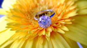 diamondfieddtripbaby108.jpg