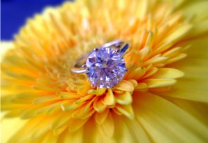 diamondfieddtripbaby111.jpg
