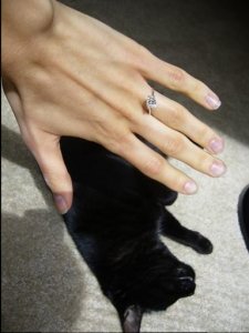 with cat.JPG