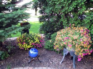 cms2009garden5.jpg