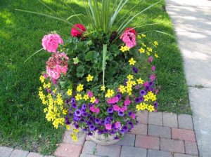 cms2009garden6.jpg