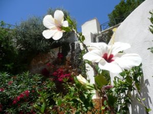 gartenmalle 004.jpg