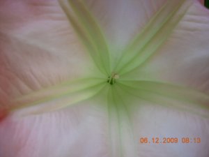 SSCN6060.JPG