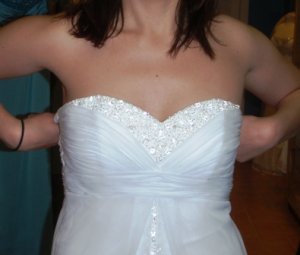 dress2pic2resize.jpg