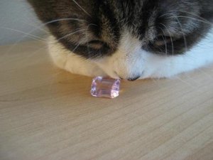 gem 000998876517.jpg