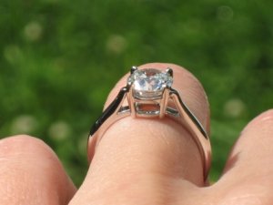 inloveinpa ring side view1.jpg