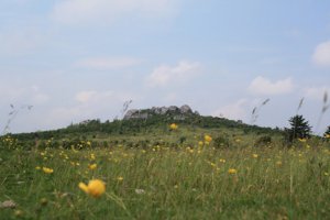 IMG_2126_edited-1.jpg