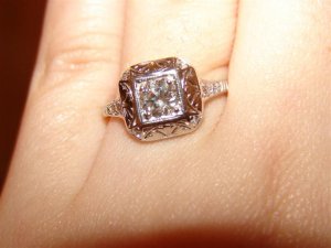 DSC01246 (Medium).JPG DSC01246 (Medium).JPG