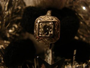 DSC01259 (Medium).JPG