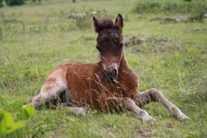 IMG_2109_edited-1.jpg