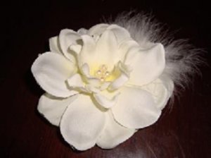 sbhairflower1.jpg