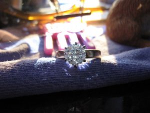 IMG_0314.JPG