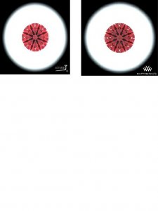 Idealscope for Studs.jpg