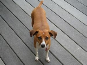 IMG_0389JellyBelly.JPG
