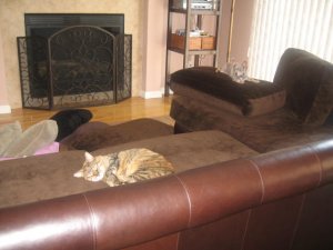 pictures from pink canon 1148.jpg