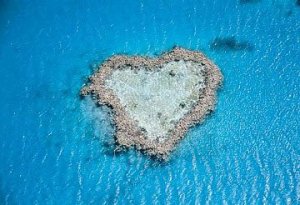 heart_reef.jpg